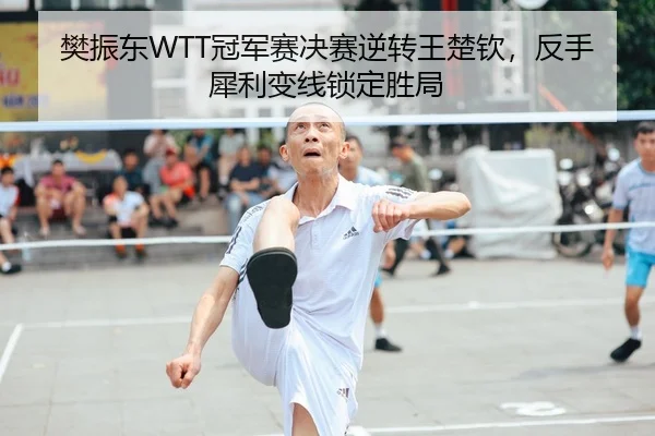 樊振东WTT冠军赛决赛逆转王楚钦，反手犀利变线锁定胜局