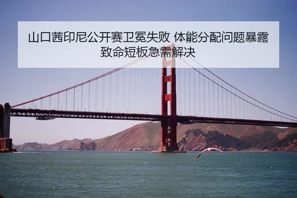 山口茜印尼公开赛卫冕失败 体能分配问题暴露 致命短板急需解决