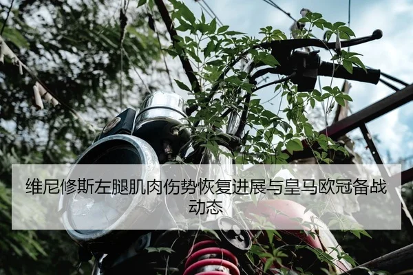 wei-ni-xiu-si-zuo-tui-ji-rou-shang-shi-hui-fu-jin-zhan-yu-huang-ma-ou-guan-bei-zhan-dong-tai-2-766.jpg